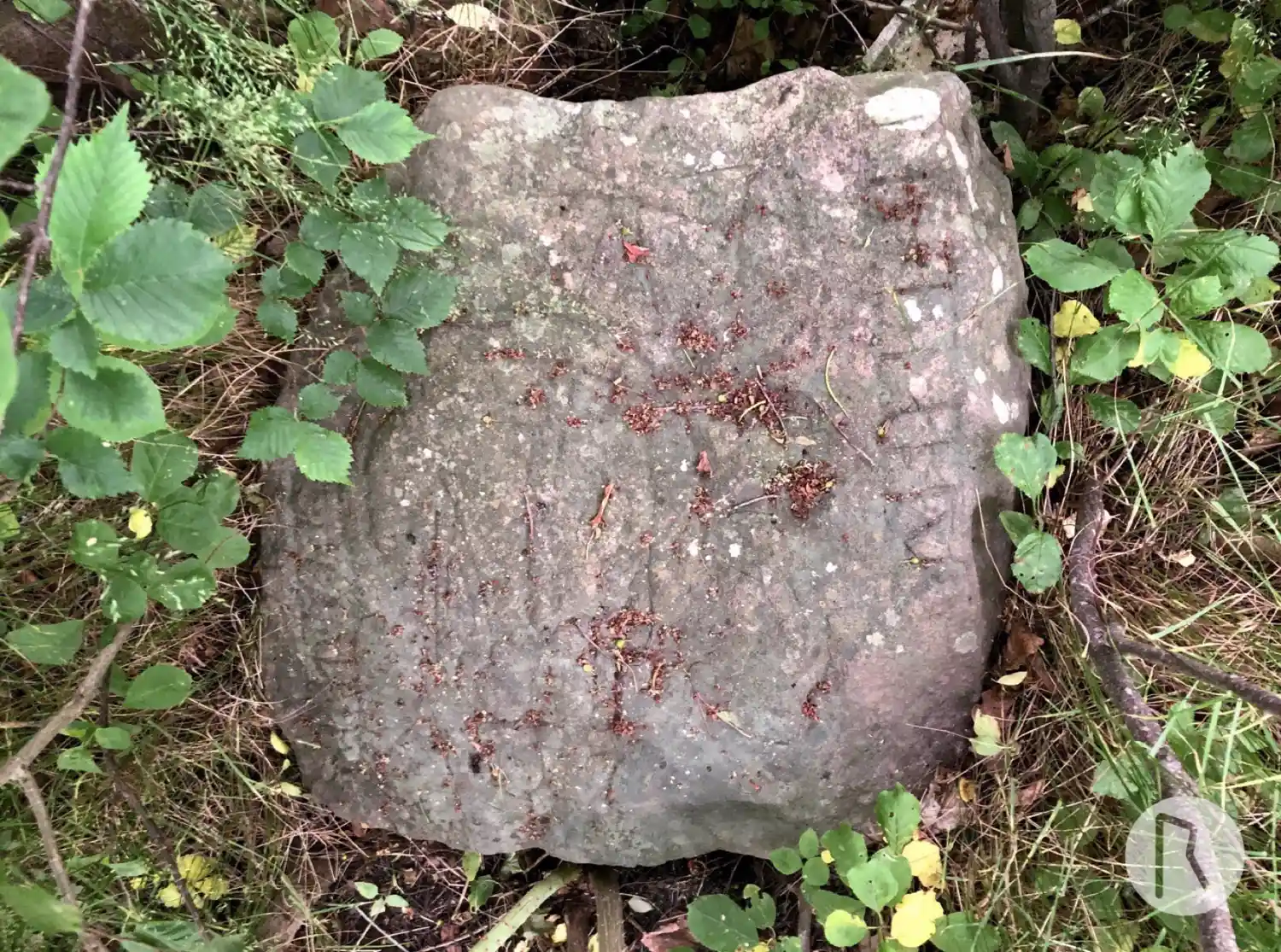 Rune-stone U292, L2017:4648 in Hammarby parish, Upplands Väsby municipality