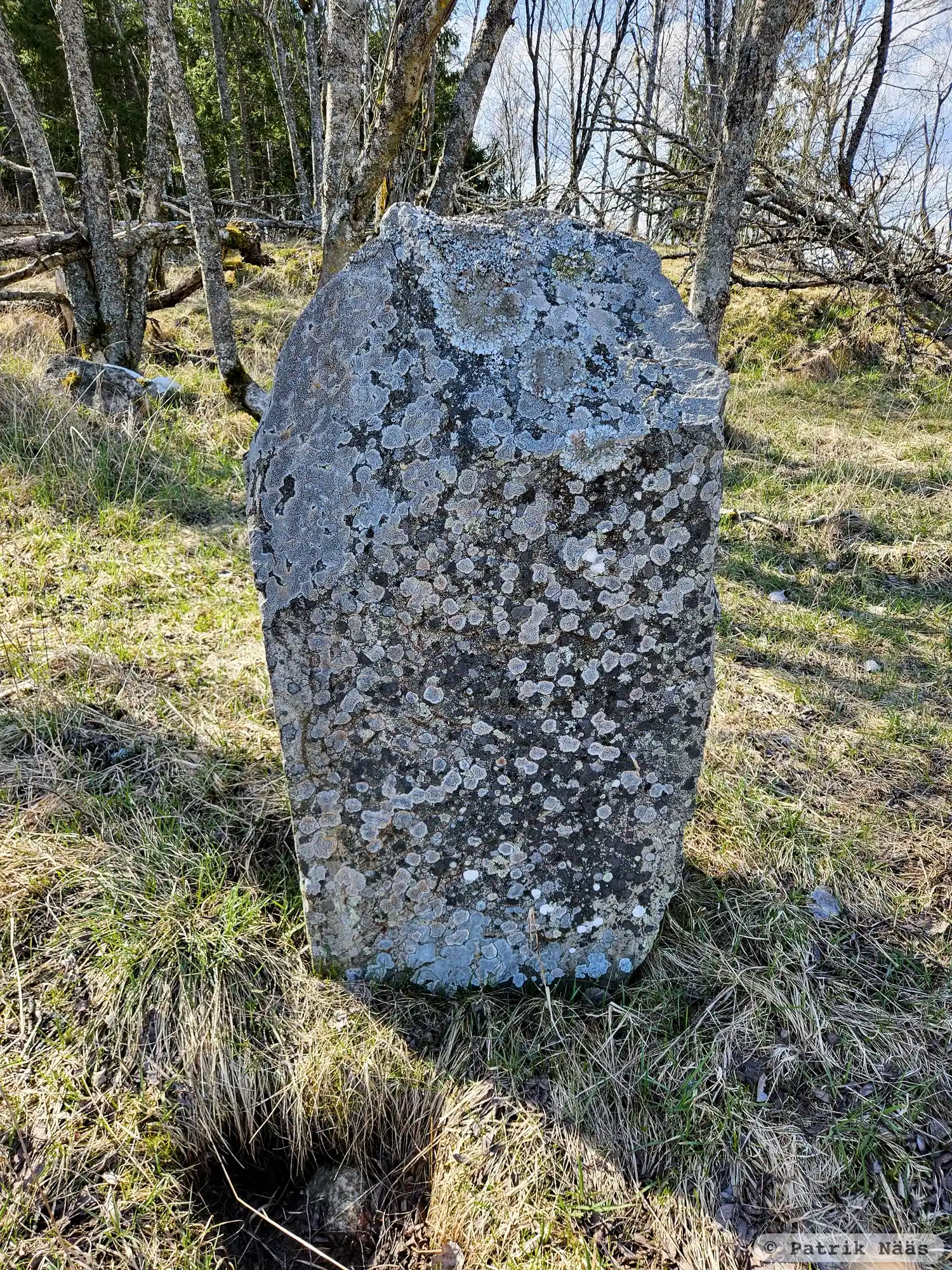 Rune-stone U313, L2015:5156 in Skånela parish, Sigtuna municipality
