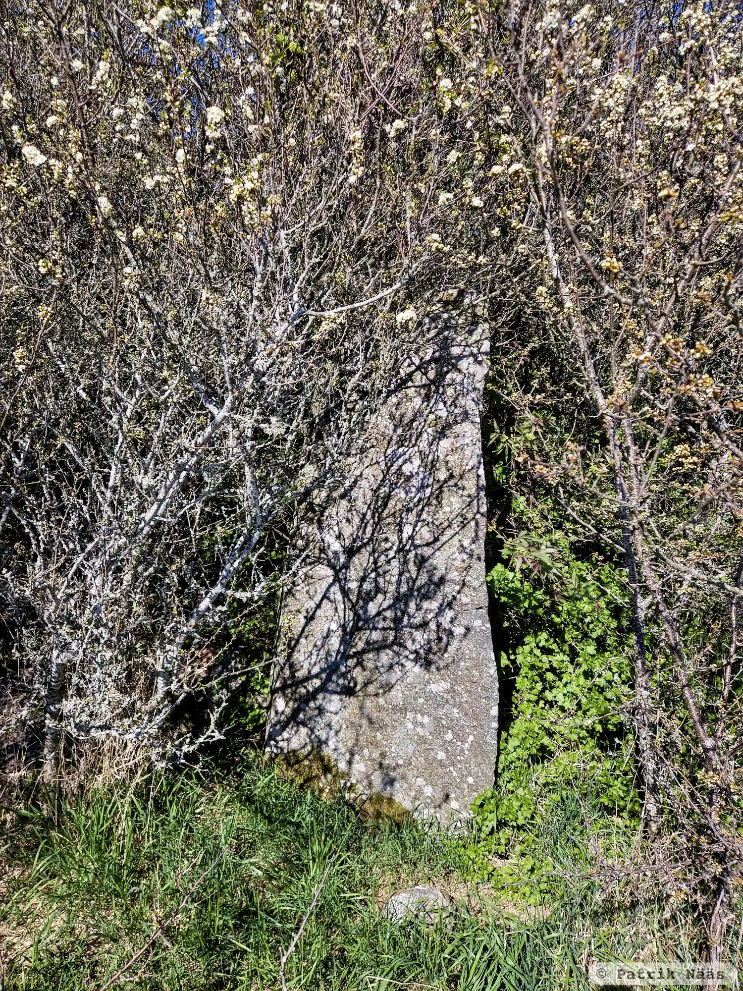 Pierre runique U445, L2016:4341 à Odensala paroisse, Sigtuna commune