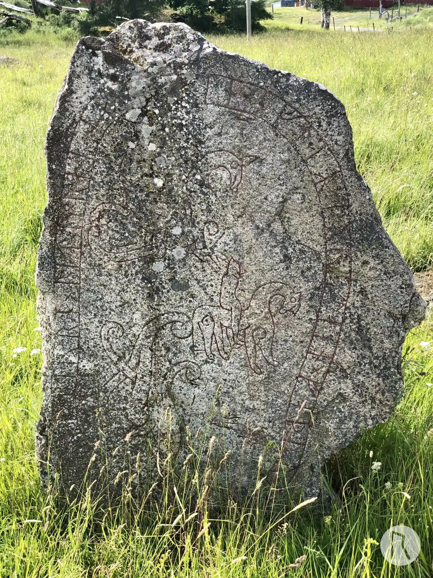 Pierre runique U448, L2016:3495 à Odensala paroisse, Sigtuna commune