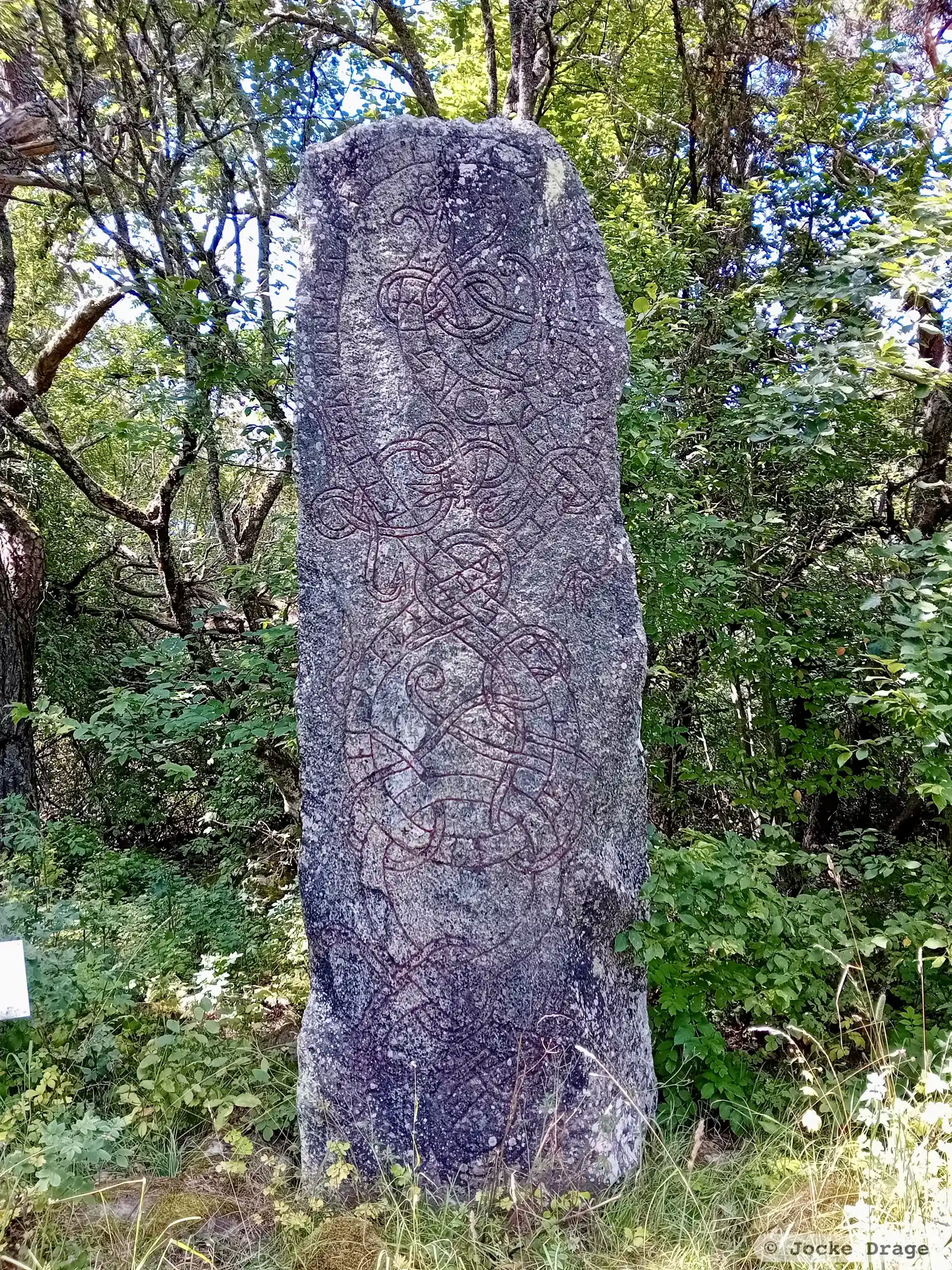 Rune-stone U460, L2017:4271 in Haga parish, Sigtuna municipality