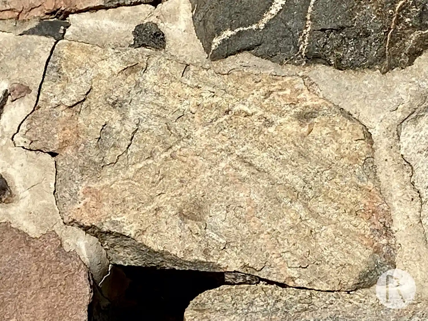 Rune inscriptions in Frötuna parish