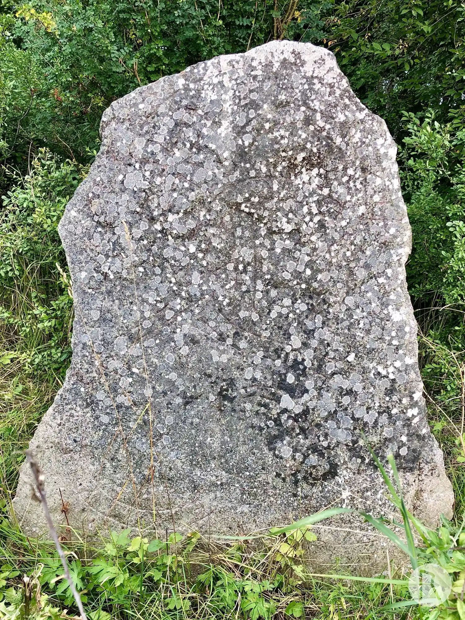 Rune-stone U921, L1943:9648 in Jumkil parish, Uppsala municipality