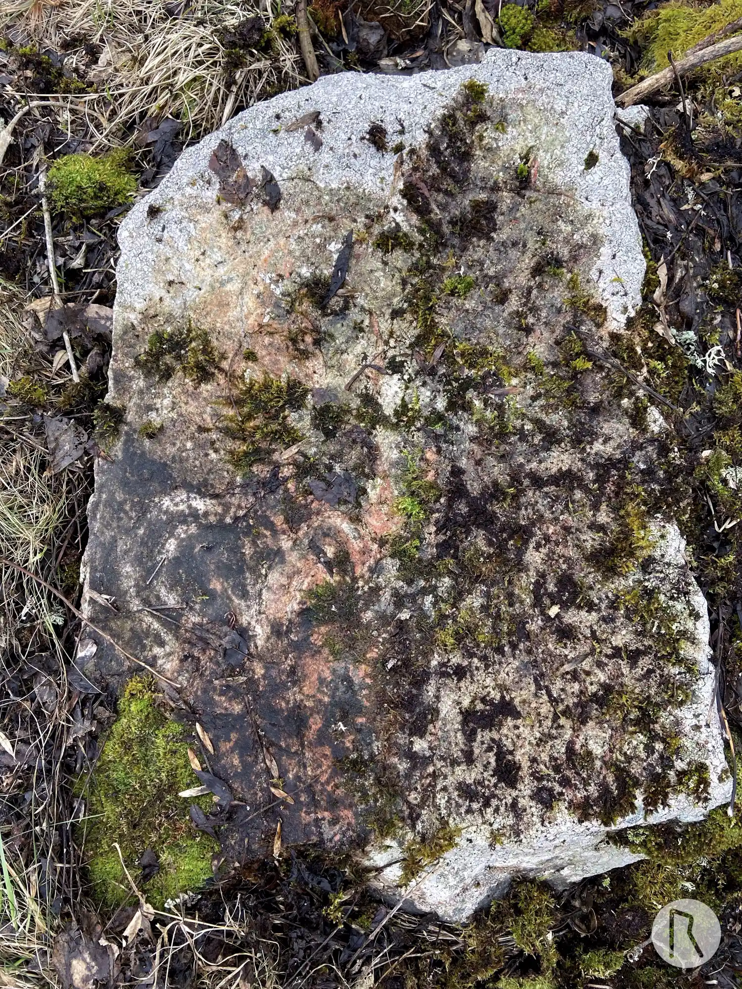 Rune-stone UFv1959;260, L2016:6474 in Länna parish, Norrtälje municipality