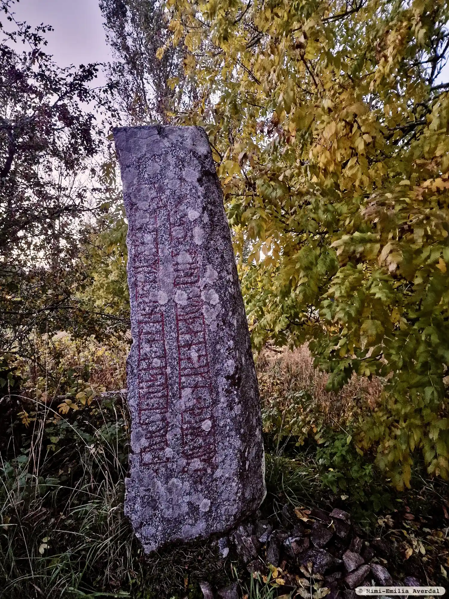 Rune-stone Vg150, L1963:1408 in Väne-Åsaka parish, Trollhättan municipality