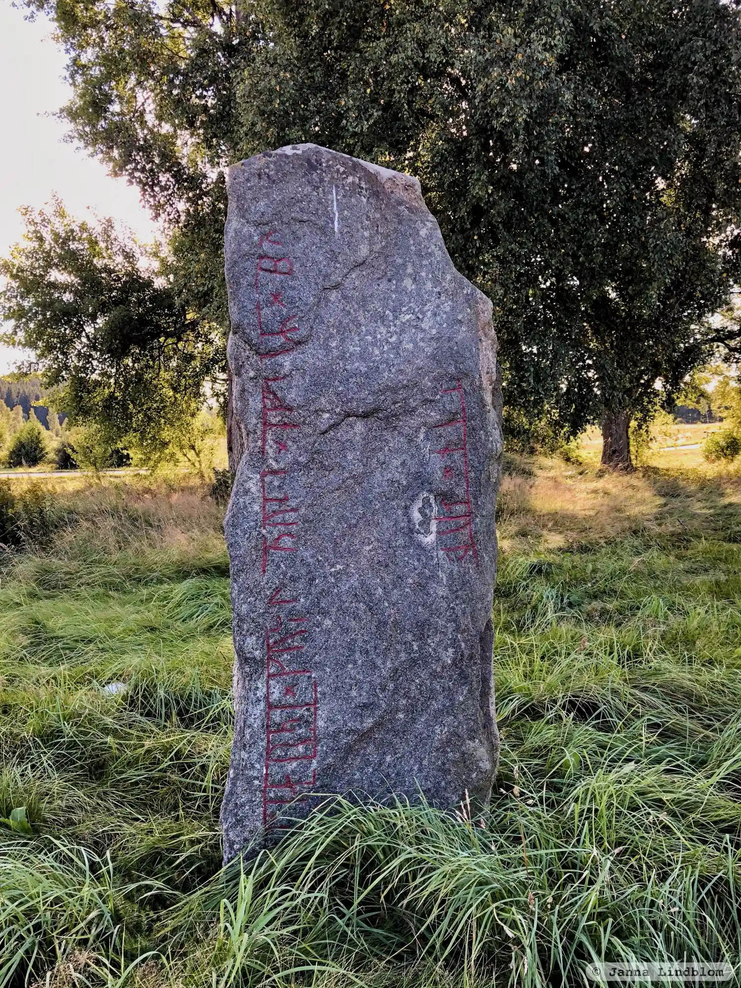 Runenstein Vg168, L1964:6444 in Södra Ving kirchspiel, Ulricehamn gemeinde