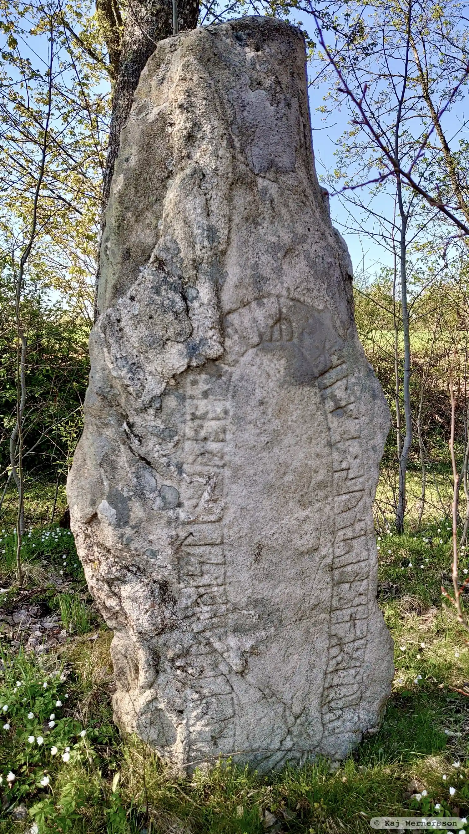 Рунічні написи в парафії Dalum