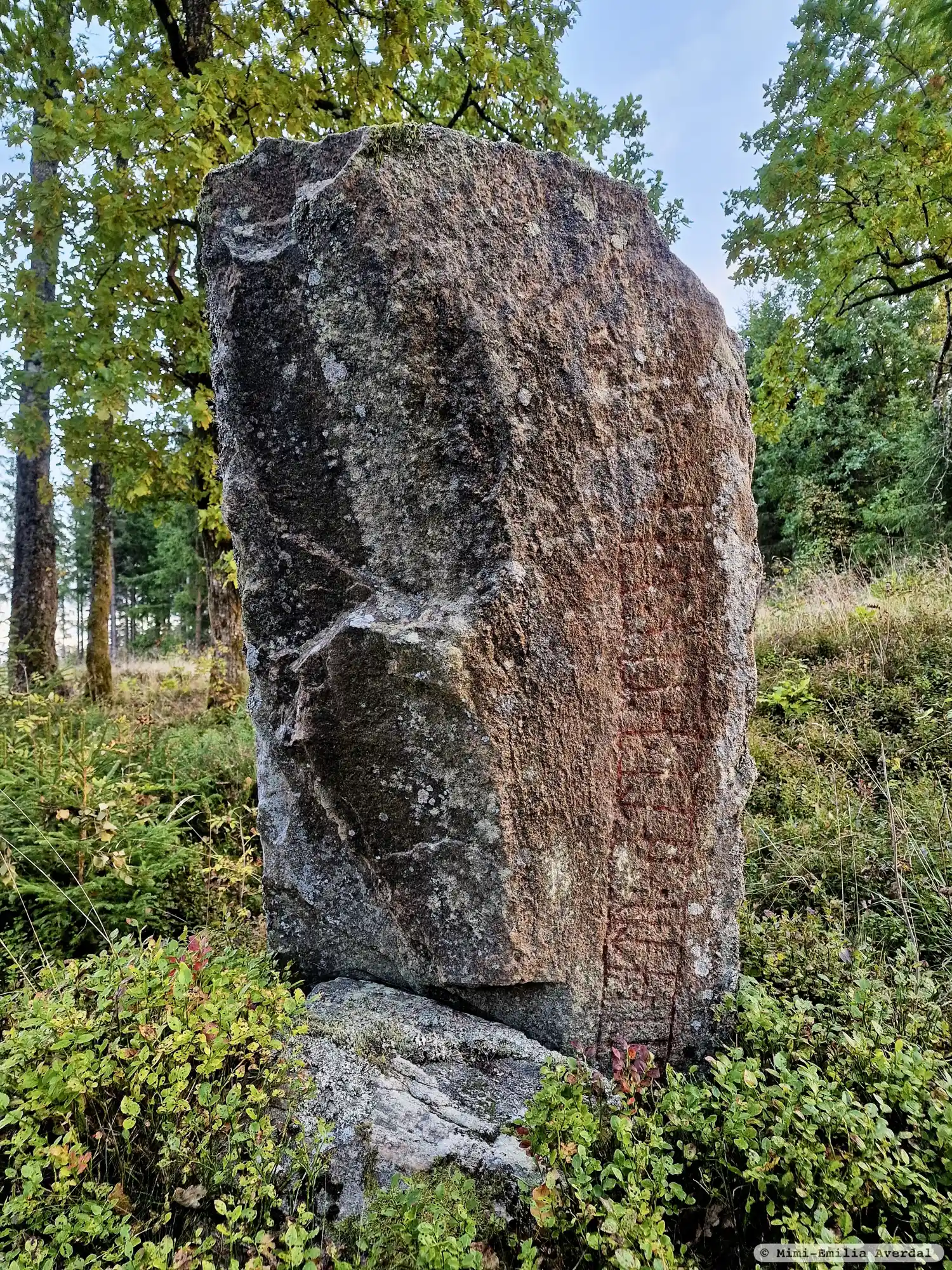 Rune inscriptions in Länghem parish