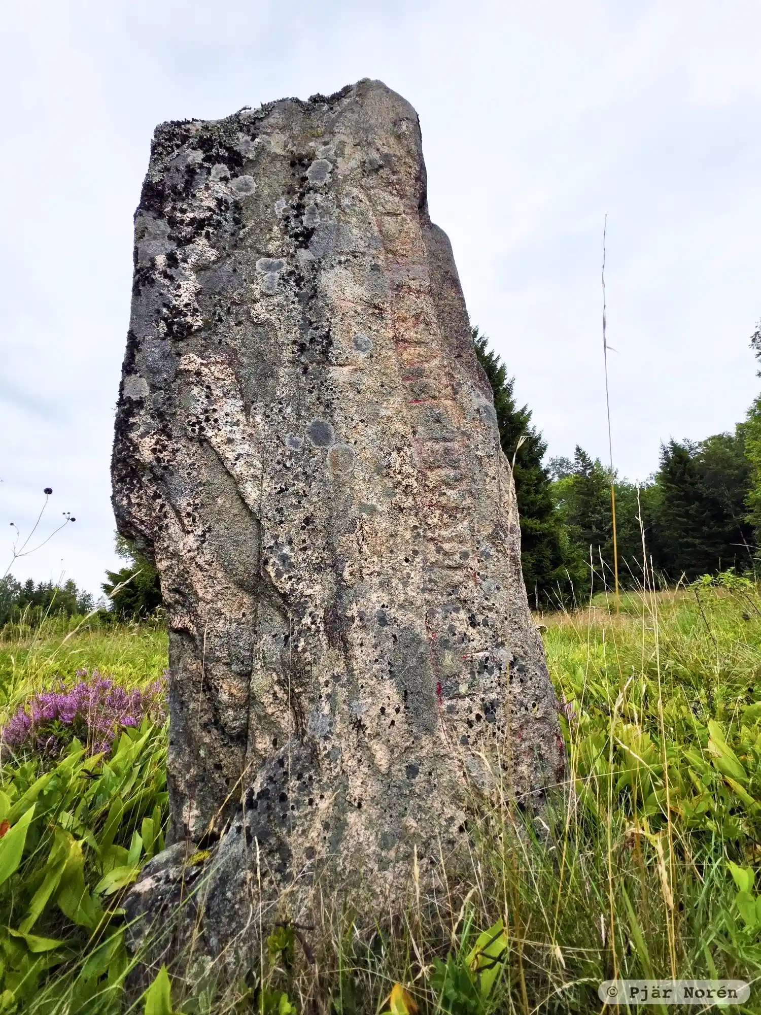 Rune-stone Vg195, L1964:3076 in Tranemo parish, Tranemo municipality