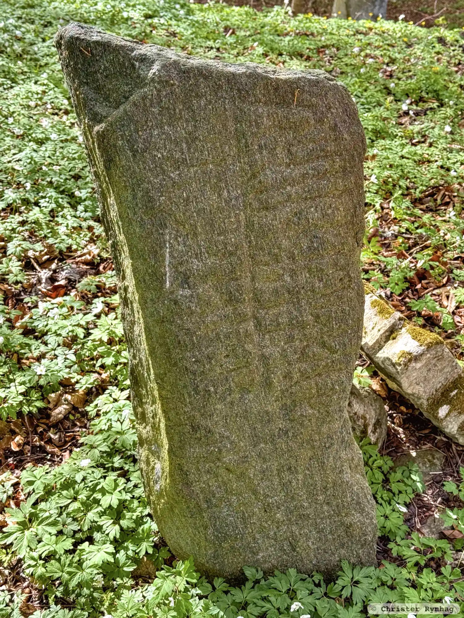 Rune inscriptions in Berga parish