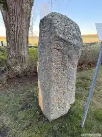 Runsten Kälvesten, Ög8, L2009:2488