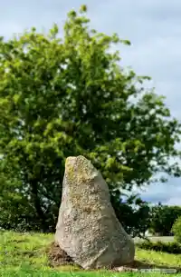 Fotografi av Runsten Västra Strömonumentet eller Tulestenarna, DR335, L1988:8142 taget av Bo Sibbern-Larsen