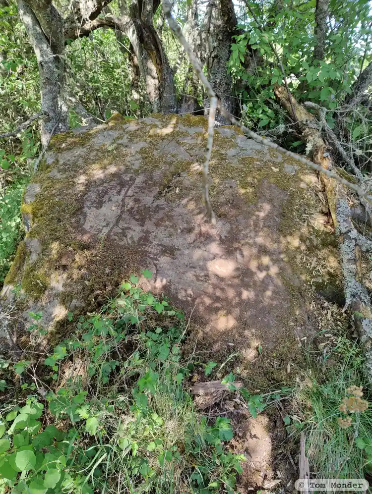 Fotografi av Hällristning, L1982:7205 taget av Tom Monder