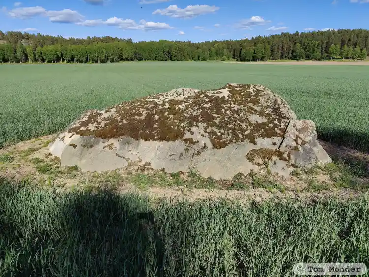 Fotografi av Hällristning, L1983:7310 taget av Tom Monder