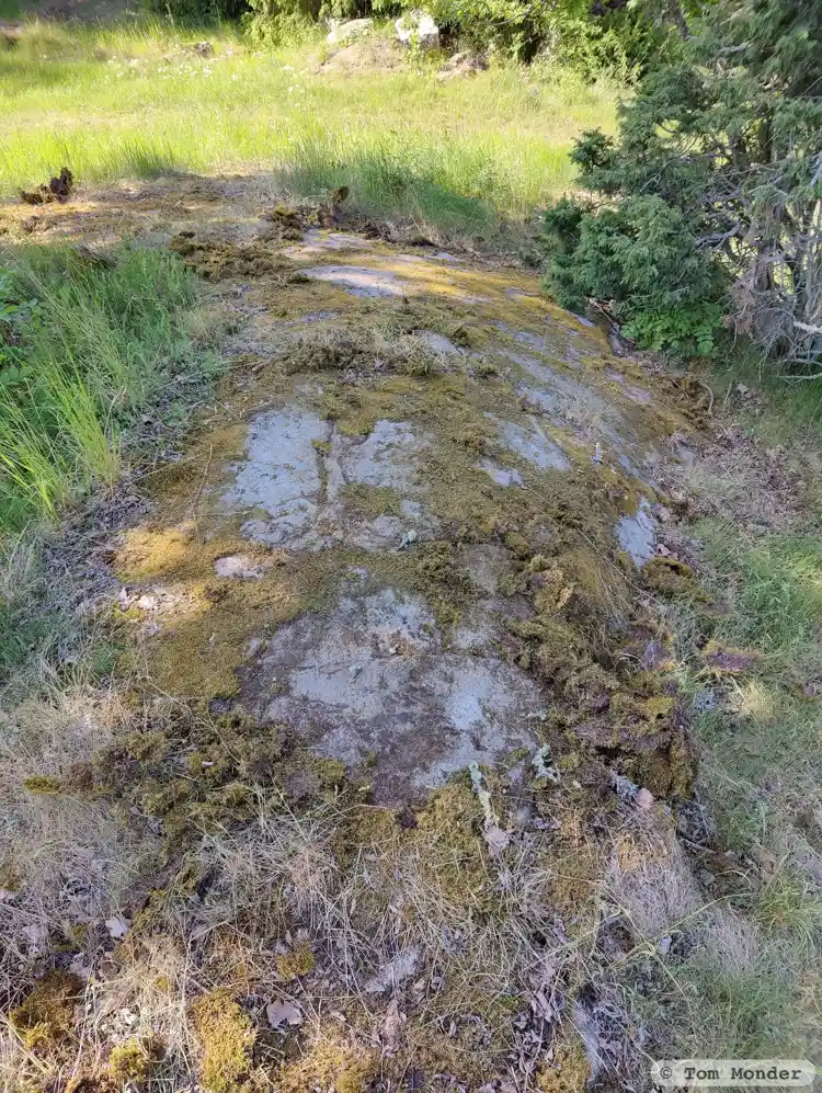 Fotografi av Hällristning, L1983:8121 taget av Tom Monder