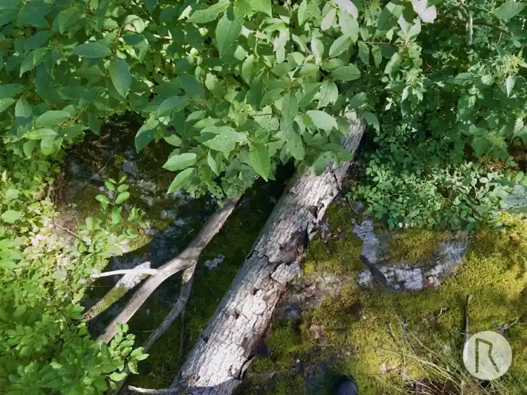 Fotografi av Runhäll Hargs bro, U311, L2015:4534 taget av Niklas Vackerdag