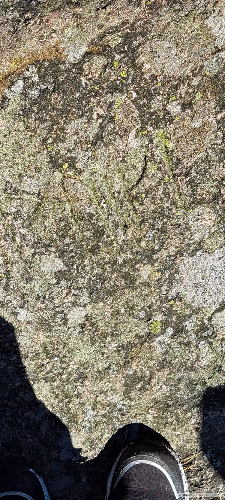 Fotografi av Runhäll, L2022:1140 taget av Gabriel Gunnarsson