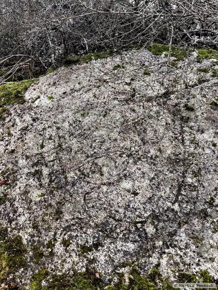 Fotografi av Runhäll U308, L2015:4916 taget av Martin Pessink
