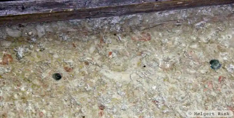 Fotografi av Runristning G305,  taget av Melgert Rink