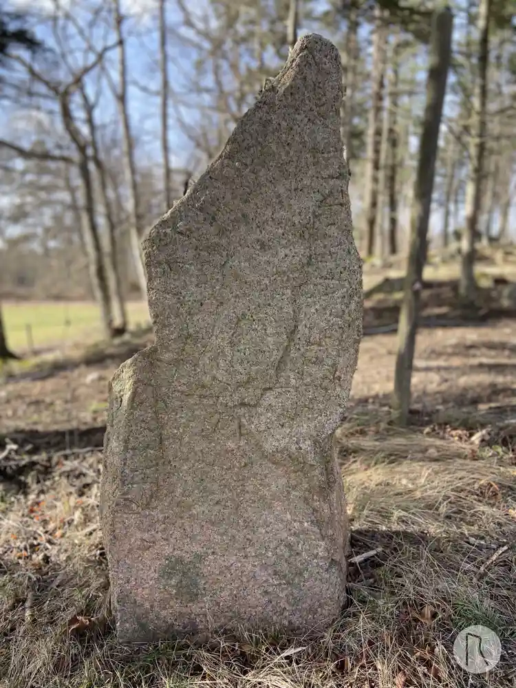 Fotografi av Runristning U663, L2016:1412 taget av Niklas Vackerdag