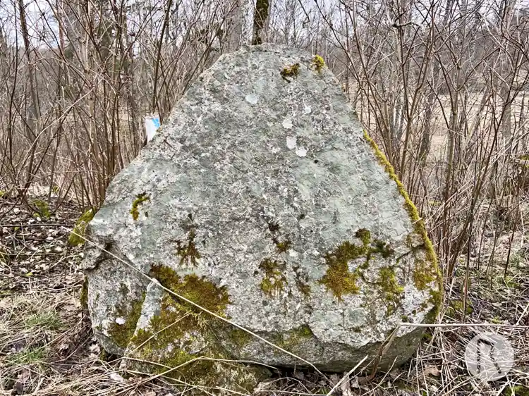 Fotografi av Runristning UFv1988;241, L2016:8018 taget av Niklas Vackerdag