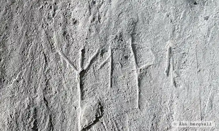 Fotografi av Runristning Vg209, L1962:5247 taget av Åke Bergvall