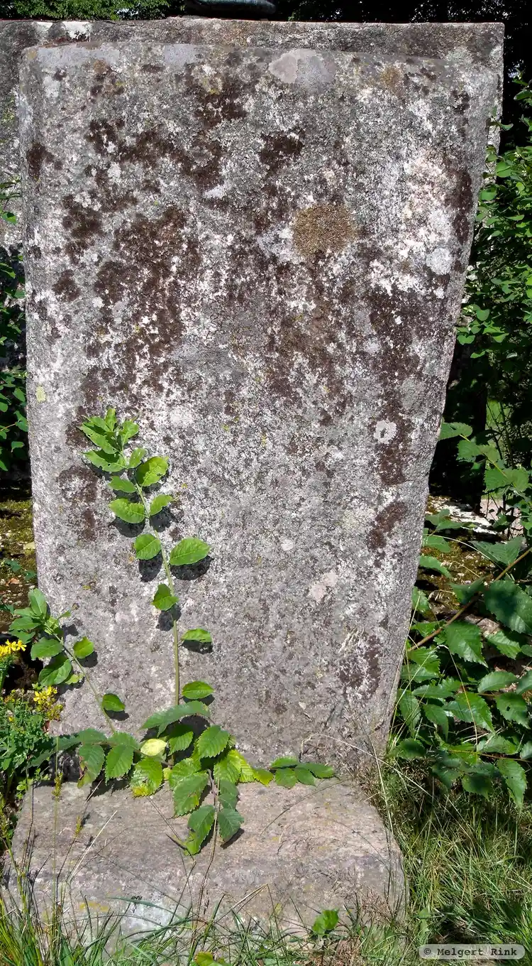Fotografi av Runsten DR366, L1979:3439 taget av Melgert Rink