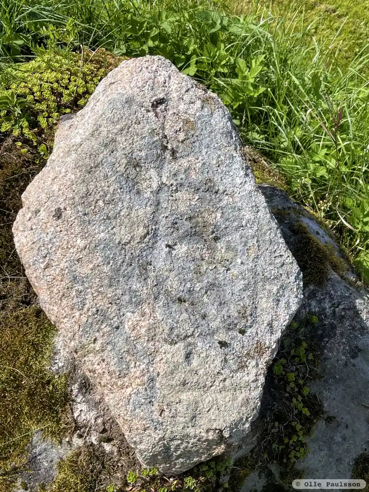 Fotografi av Runsten Ög216, L2010:1941 taget av Olle Paulsson