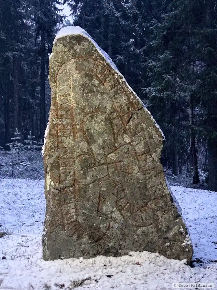 Fotografi av Runsten Rasastenen, Sm55, L1974:372 taget av Tuva Paldanius