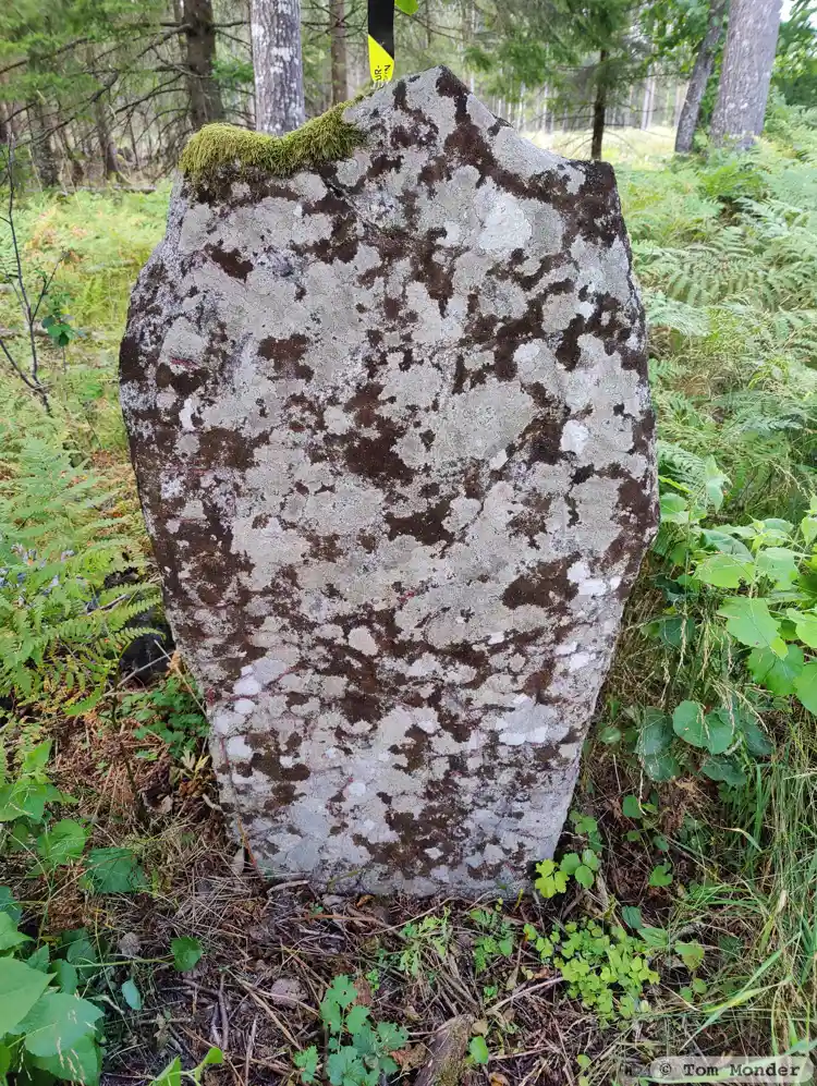 Fotografi av Runsten Sö61, L1984:1411 taget av Tom Monder