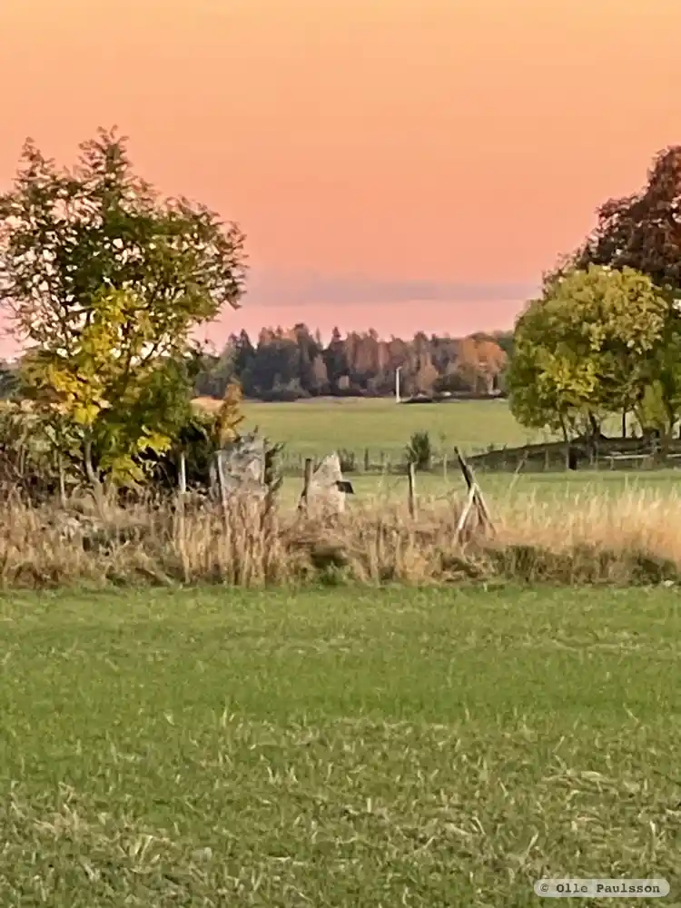 Fotografi av Runsten U1096, L1939:5670 taget av Olle Paulsson
