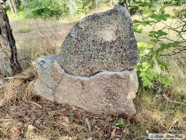 Fotografi av Runsten U1181, L1944:463 taget av Tom Monder