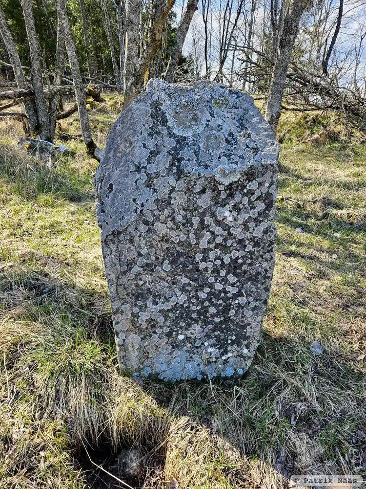 Fotografi av Runsten U313, L2015:5156 taget av Patrik Nääs