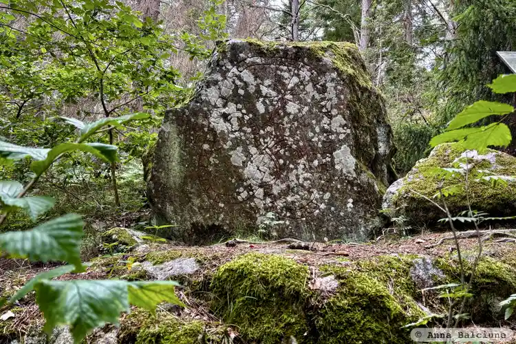 Fotografi av Runsten U412, L2015:2433 taget av Anna Balciune