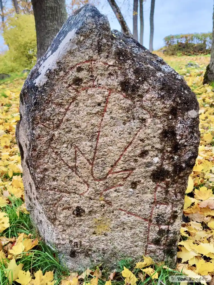 Fotografi av Runsten U420, L2016:7660 taget av Tom Monder