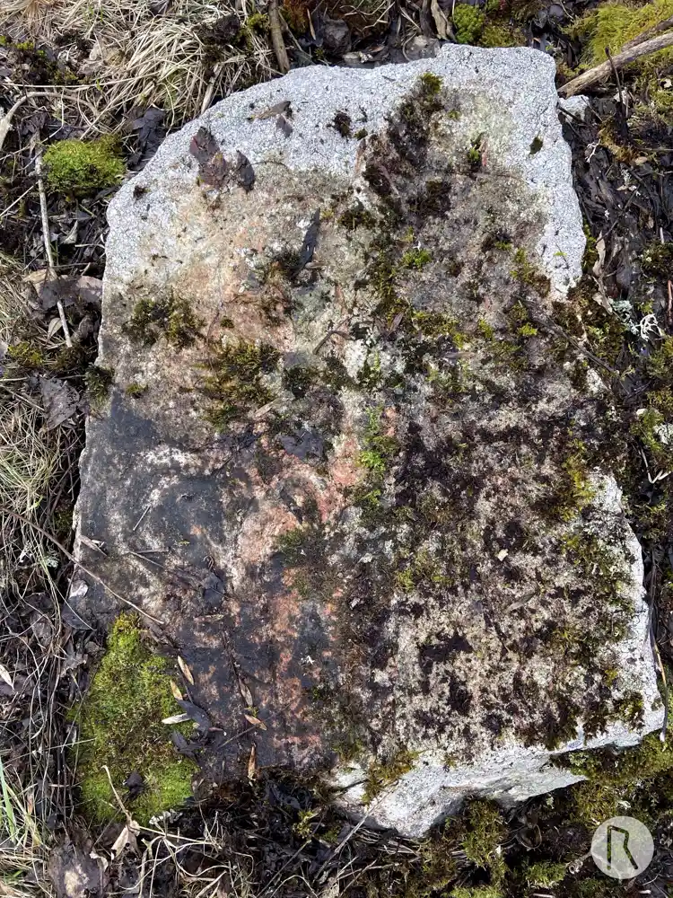 Fotografi av Runsten UFv1959;260, L2016:6474 taget av Niklas Vackerdag