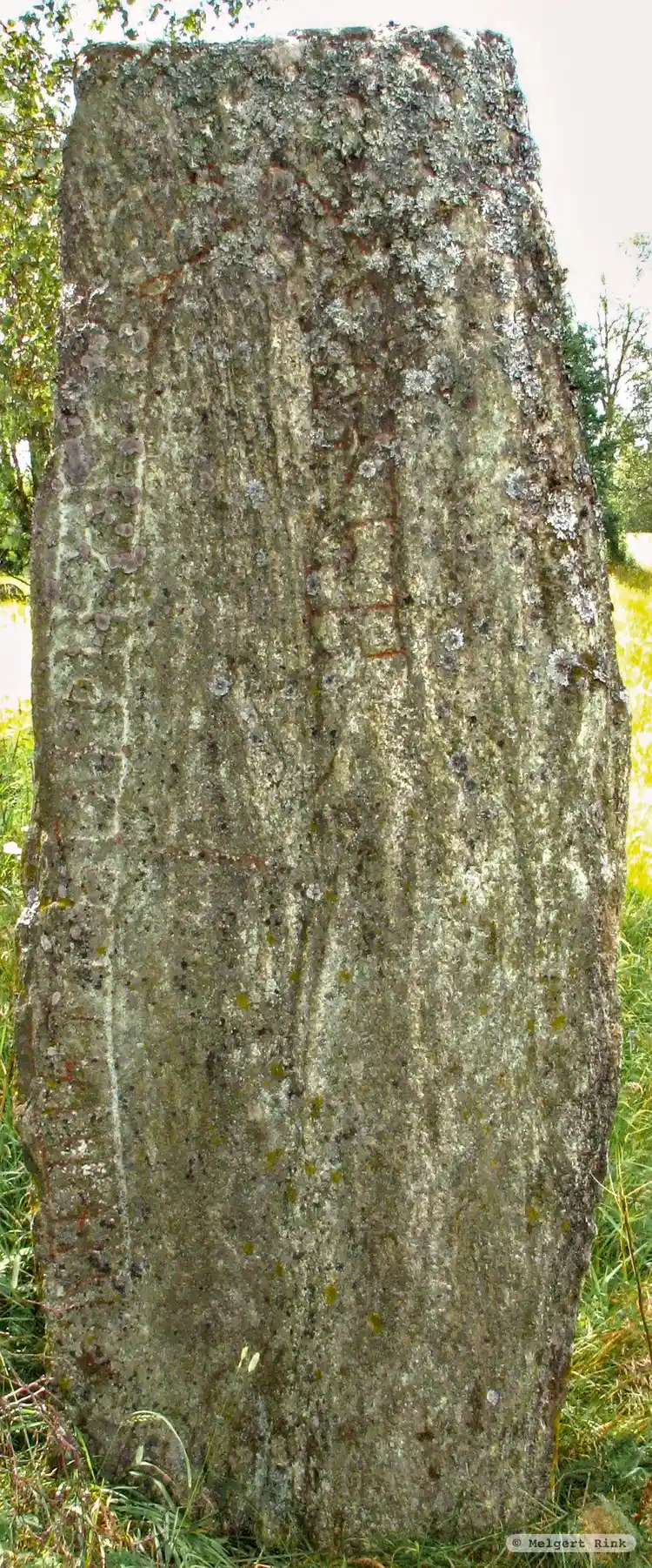 Fotografi av Runsten Vg192, L1965:7197 taget av Melgert Rink